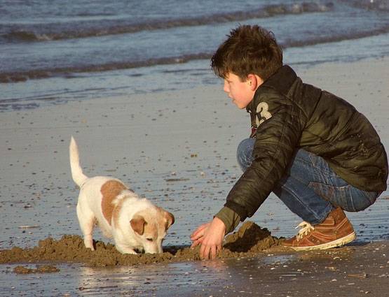 बचपन से रहना चाहते हैं अव्वल तो काम आएंगे आपके डॉग-कैट, जानें कैसे