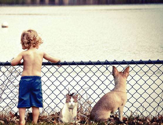 बचपन से रहना चाहते हैं अव्वल तो काम आएंगे आपके डॉग-कैट, जानें कैसे