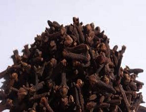 डेंगू-मलेरिया के मच्छर भागेंगे कोसों दूर, अपनाने होंगे ये 7 घरेलू उपाय