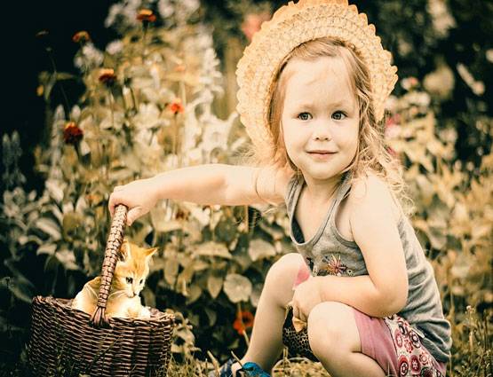 बचपन से रहना चाहते हैं अव्वल तो काम आएंगे आपके डॉग-कैट, जानें कैसे