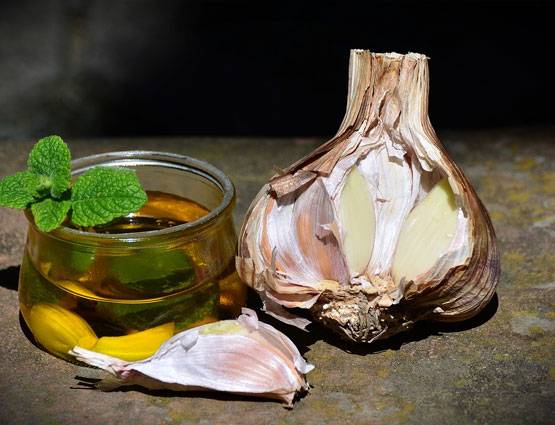 डेंगू-मलेरिया के मच्छर भागेंगे कोसों दूर, अपनाने होंगे ये 7 घरेलू उपाय