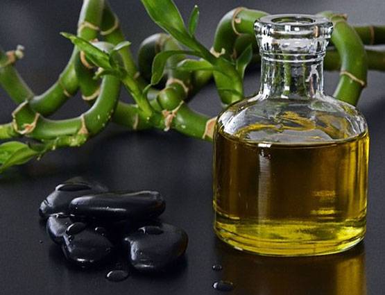 डेंगू-मलेरिया के मच्छर भागेंगे कोसों दूर, अपनाने होंगे ये 7 घरेलू उपाय