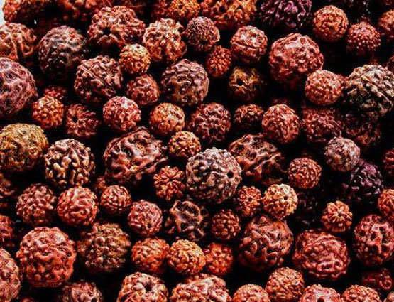 सावन: ये हैं शिव के 5 प्रतीक, जानें क्या है इनका धार्मिक महत्व