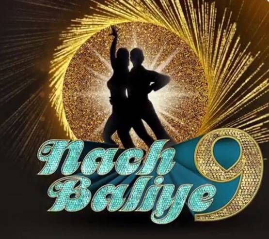 तो नच बलिए 9 के लिए नागिन फेम एक्ट्रेस अनीता को मिल रही है सबसे ज्यादा फीस!