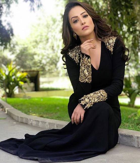 तो नच बलिए 9 के लिए नागिन फेम एक्ट्रेस अनीता को मिल रही है सबसे ज्यादा फीस!