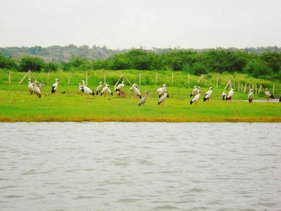 दिल्ली से 5 घंटे दूर 6 खूबसूरत डेस्टिनेशन, मॉनसून में करें ट्रिप प्लान