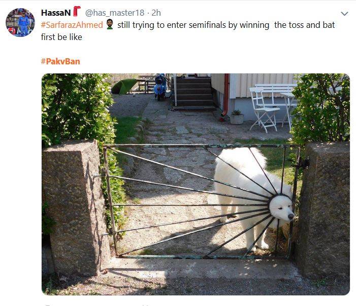 वर्ल्ड कप से पाकिस्तान बाहर, सोशल मीडिया पर लोगों ने ली मौज, मीम्स वायरल