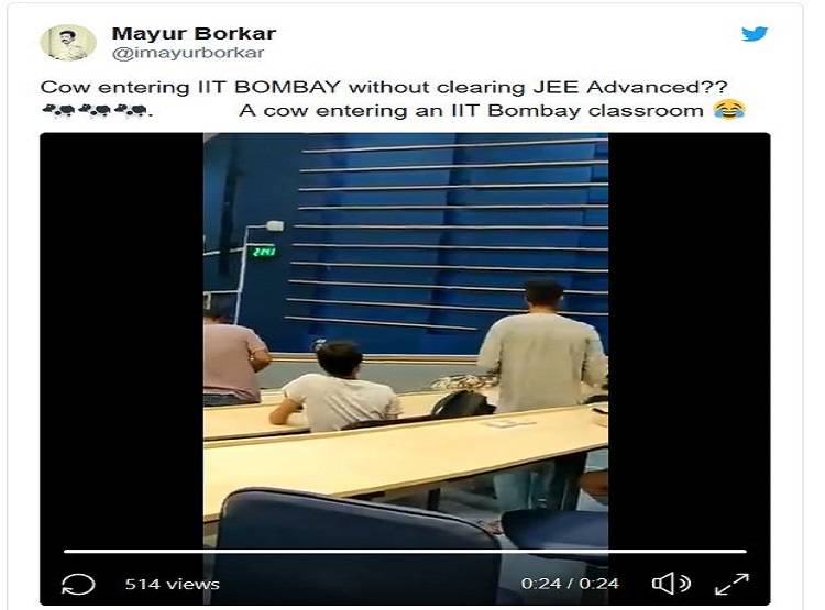 बॉम्बे IIT के क्लासरूम में घुसी गाय, लोगों ने पूछा- बिन एग्जाम एंट्री कैसे