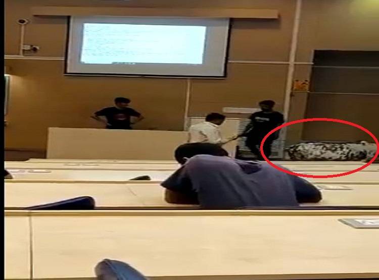 बॉम्बे IIT के क्लासरूम में घुसी गाय, लोगों ने पूछा- बिन एग्जाम एंट्री कैसे