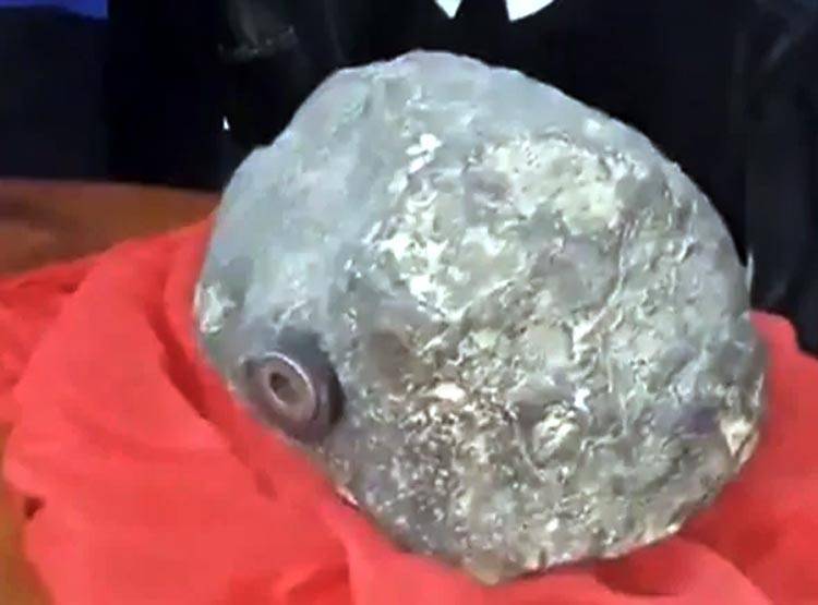 आसमान से गिरा 15 किलो का पत्थर, चमत्कार देखकर हो जाएंगे हैरान