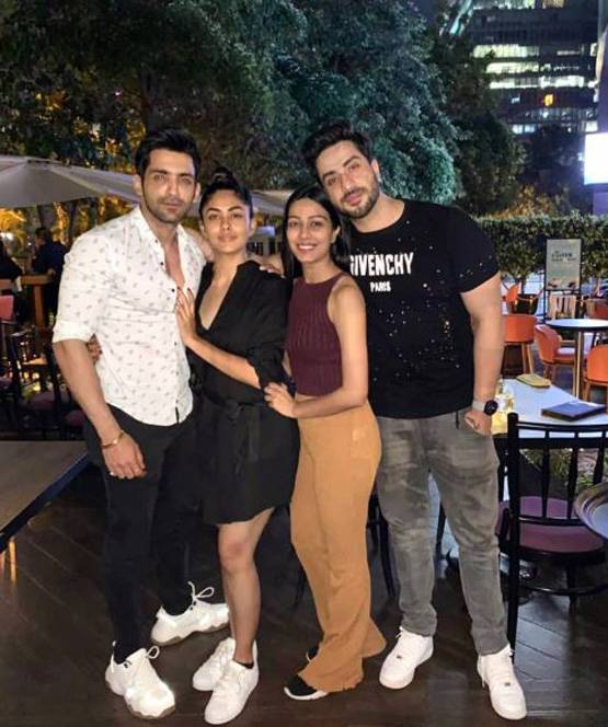 भारत ही नहीं, इंडोनेशिया का भी फेमस चेहरा हैं ऋतिक रोशन की ये हीरोइन