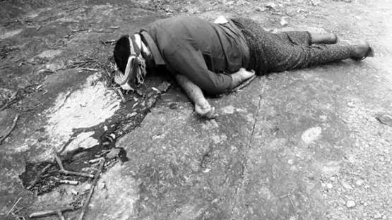 न शेर-न सांप, इस जन्तु का सबसे ज्यादा शिकार बना इंसान