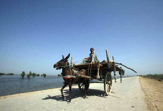 पाकिस्तान में इस हिंदू राजा को हीरो मानते हैं लोग, की थी बहन से शादी!