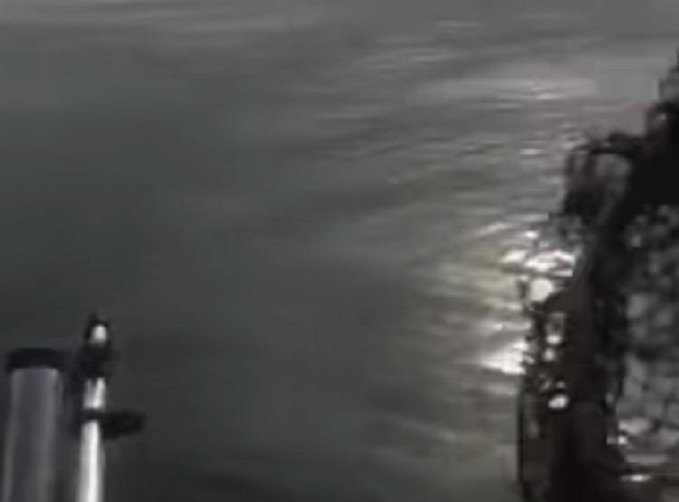 कांटे में फंसी मछली, उसे छोड़ने को तैयार नहीं था सांप, जानें क्या हुआ