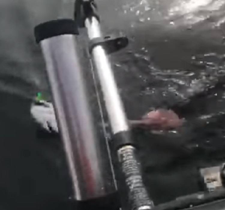 कांटे में फंसी मछली, उसे छोड़ने को तैयार नहीं था सांप, जानें क्या हुआ