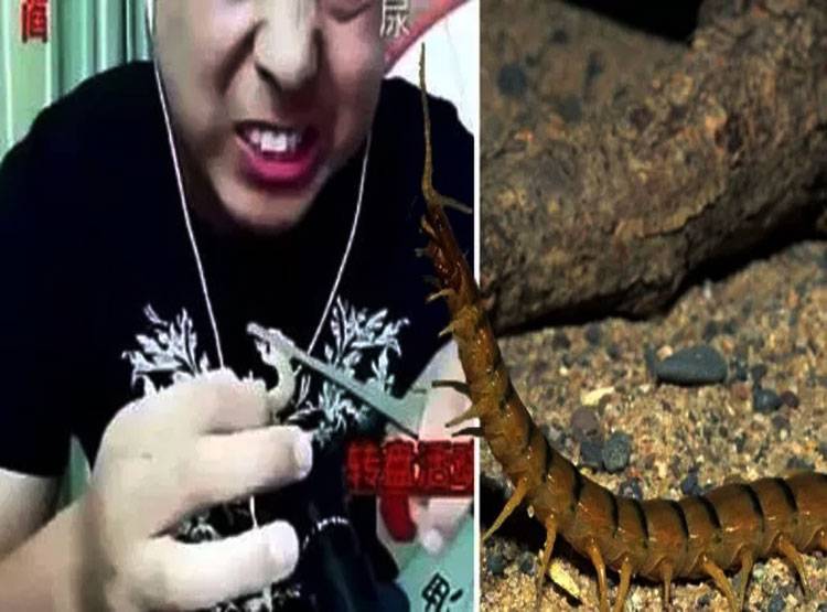 लाइव वीडियो बनाते समय युवक ने खाया जहरीला कीड़ा, तड़पकर हुई मौत