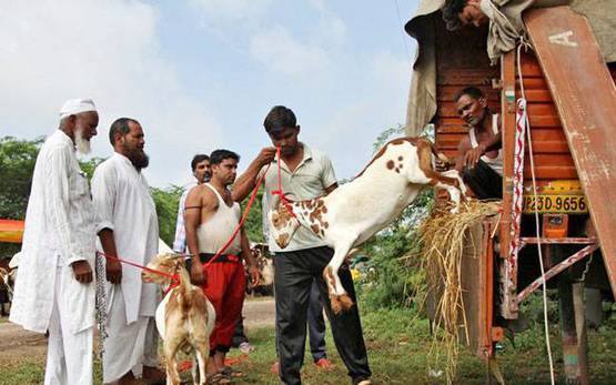 बकरीद का त्योहार क्यों मनाया जाता है? ऐसे शुरू हुई कुर्बानी