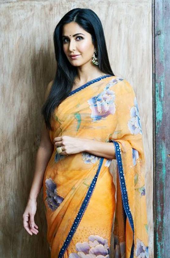 Hartalika Teej: व्रत में पहनें कैसी साड़ी? बॉलीवुड सेलेब्स से लें टिप्स