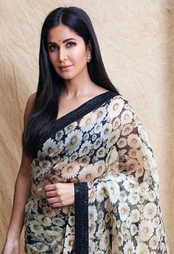 Hartalika Teej: व्रत में पहनें कैसी साड़ी? बॉलीवुड सेलेब्स से लें टिप्स