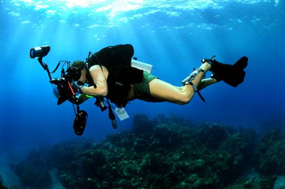 समुद्र में डूब चुके हैं कृष्ण नगरी के अवशेष? स्कूबा डाइविंग से होंगे दर्शन