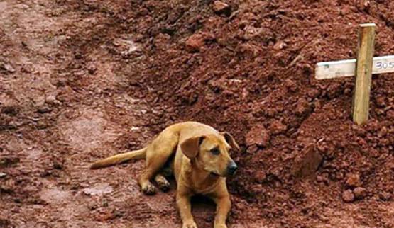 World Photography Day: यहां देखें- दुनिया की दर्दनाक और खुशनुमा तस्वीरें