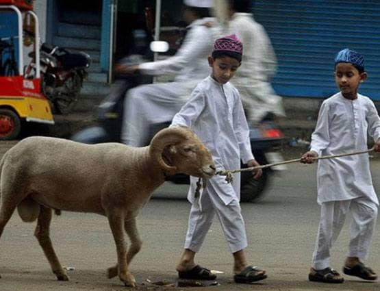 बकरीद: एक नहीं 3 दिन तक दी जाती है जानवरों की कुर्बानी