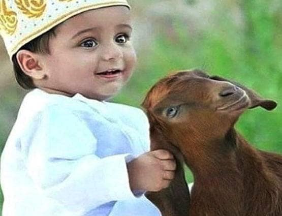 बकरीद: एक नहीं 3 दिन तक दी जाती है जानवरों की कुर्बानी