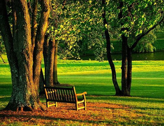 हरियाली तीज पर क्यों इस रंग को ज्यादा पहनना पसंद करती हैं महिलाएं?