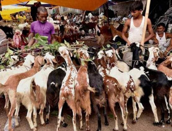 बकरीद: एक नहीं 3 दिन तक दी जाती है जानवरों की कुर्बानी