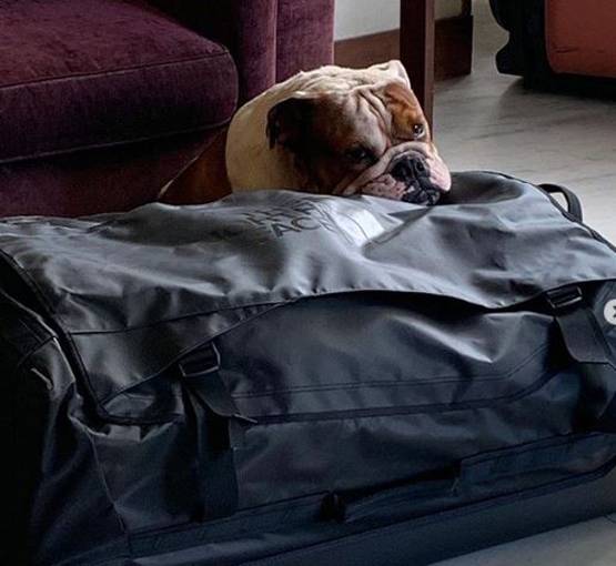 राम कपूर के डॉगी को हुआ बुखार, पत्नी गौतमी कुछ यूं रख रही हैं ख्याल