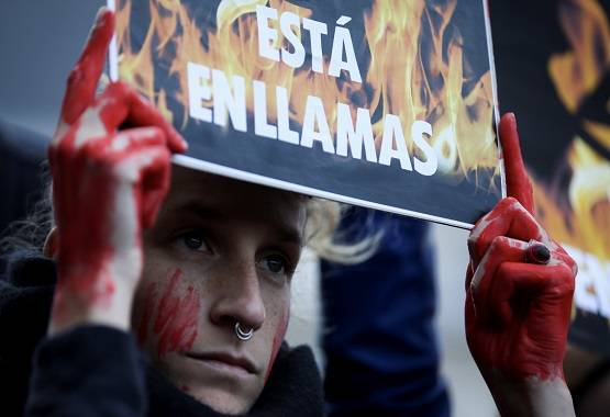 नहीं बुझ रही अमेजन जंगल की आग, दुनिया भर में शुरू हुआ प्रदर्शन