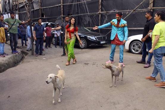 ड्रीम गर्ल: मराठी मुलगी बनीं नुसरत भरूचा, स्ट्रीट डॉग्स संग खेलती आईं नजर