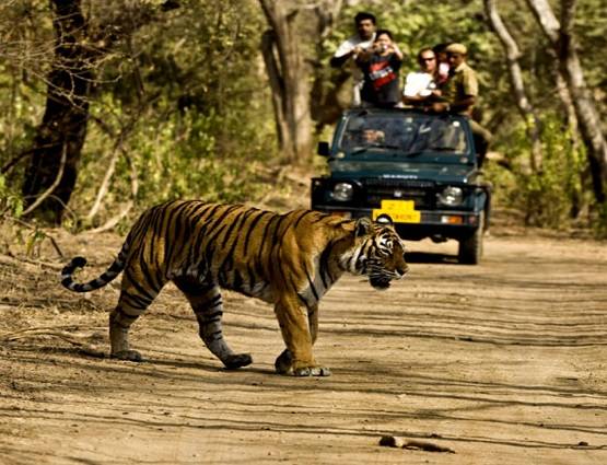 Man vs Wild की जहां हुई शूटिंग, वहां बजट में लें राइड्स-ट्रैकिंग का मजा