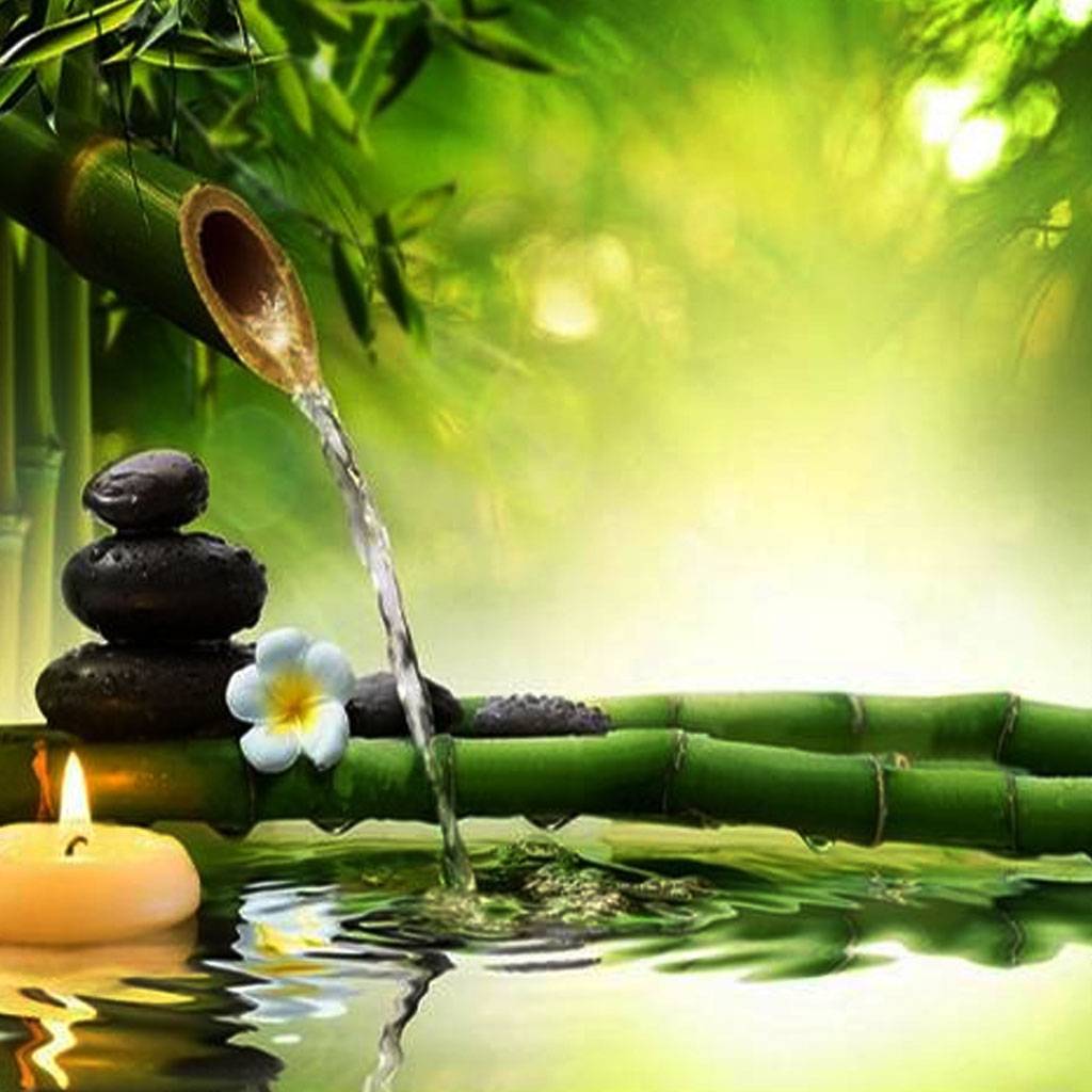 हरियाली तीज पर क्यों इस रंग को ज्यादा पहनना पसंद करती हैं महिलाएं?