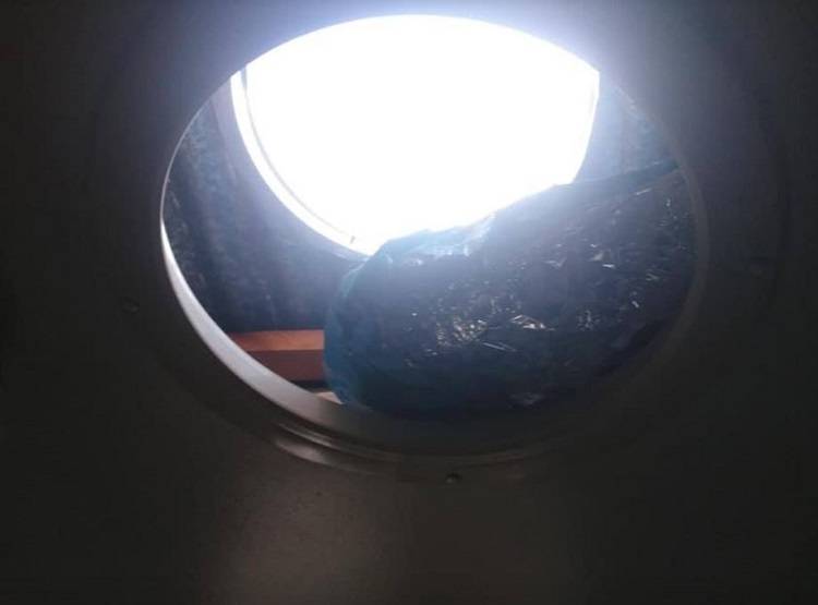 बिस्तर पर ले रहा था चैन की नींद, छत से गिरा अजगर और फिर...