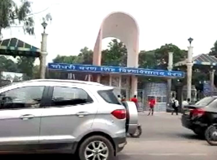 लंगूर पाता है यहां एक कर्मचारी का वेतन-भत्ता, चौंकाने वाली है वजह