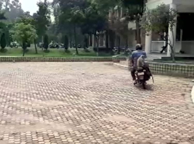 लंगूर पाता है यहां एक कर्मचारी का वेतन-भत्ता, चौंकाने वाली है वजह