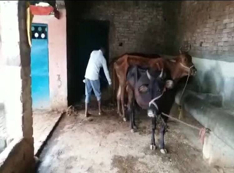 साहूकार के कर्ज से परेशान था किसान, किडनी बेचने का किया ऐलान साहूकार के कर्ज से परेशान था किसान, किडनी बेचने का किया ऐलान