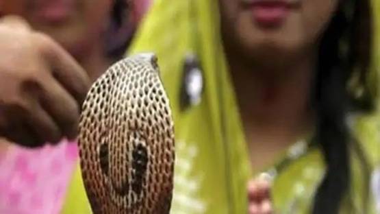 नागों की पूजा से प्रसन्न होंगे भोलेनाथ, नागपंचमी पर बरतें ये सावधानियां