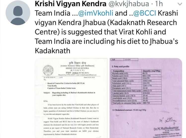 कड़कनाथ मुर्गे की क्यों है डिमांड, कमलनाथ सरकार कर रही सेल