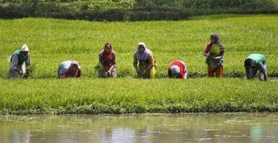 अब Ola-उबर की तरह मंगा सकेंगे ट्रैक्‍टर, मोदी सरकार ने शुरू किया ऐप