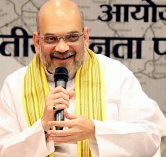 क्या है अनुच्छेद 371, जिसे न छेड़ने का वादा कर रहे हैं अमित शाह