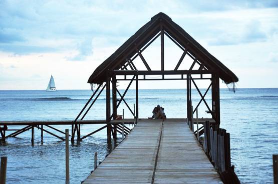 2019 में है शादी तो आपके लिए परफेक्ट हैं ये हनीमून डेस्टिनेशन