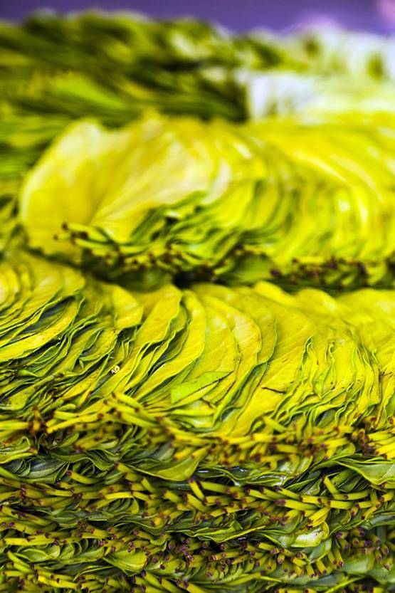 नवरात्रि में करें इन पांच चीजों का इस्तेमाल, दुर्गा मां होंगी प्रसन्न