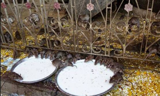 ये हैं मां दुर्गा के 10 प्रसिद्ध मंदिर, नवरात्रि में लगता है भक्तों का मेला