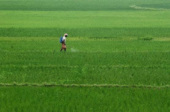 अब Ola-उबर की तरह मंगा सकेंगे ट्रैक्‍टर, मोदी सरकार ने शुरू किया ऐप