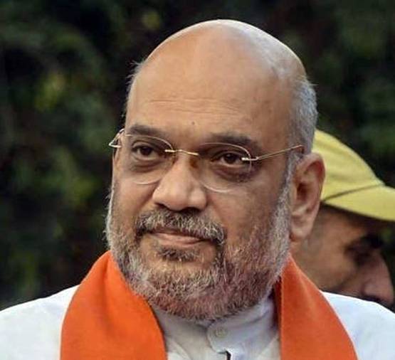 क्या है अनुच्छेद 371, जिसे न छेड़ने का वादा कर रहे हैं अमित शाह