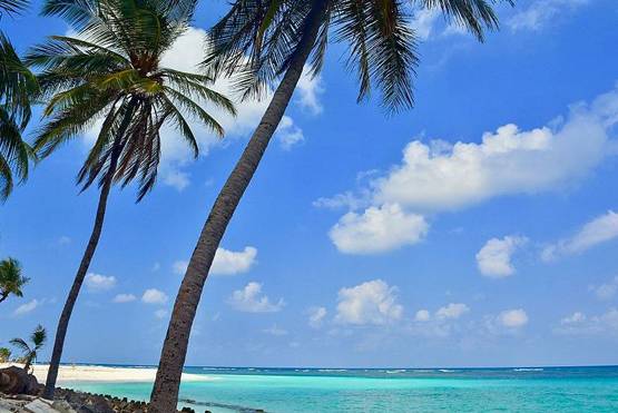 भारत में हैं ये 6 जगहें, लेकिन बिना 'वीजा' के यहां नहीं घूम सकते