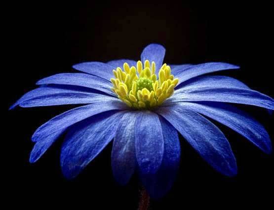 जानें नवरात्रि पर किस दिन पहनें किस रंग का वस्त्र, मां होंगी प्रसन्न