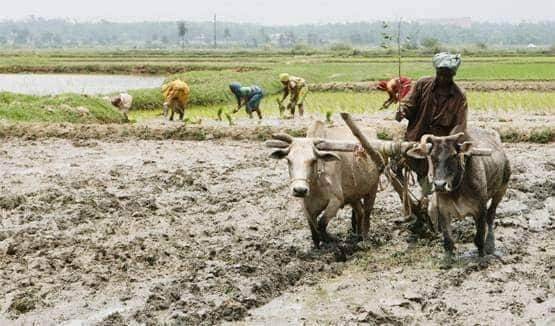 अब Ola-उबर की तरह मंगा सकेंगे ट्रैक्‍टर, मोदी सरकार ने शुरू किया ऐप
